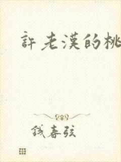 许老汉的桃花运