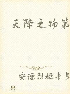 天降之物第一季