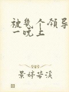 被几个领导玩弄一晚上