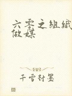 六零之组织给我做媒