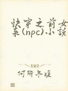 快穿之前女友归来(npc)小说免费阅读