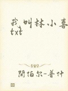 我叫林小喜小说txt