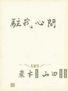 驻我心间