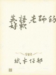 英语老师的兔子好软