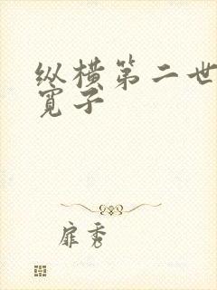纵横第二世界 宽子