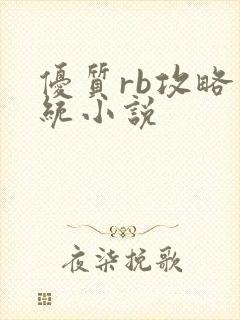 优质rb攻略系统小说