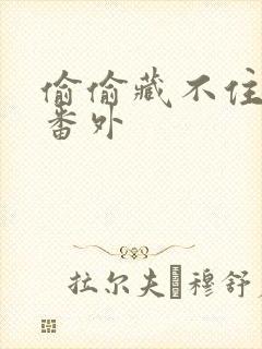 偷偷藏不住新婚番外