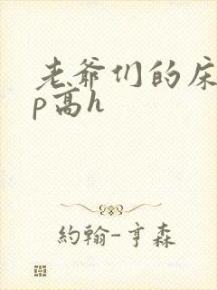 老爷们的床奴np高h