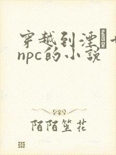 穿越到湮婸世界npc的小说