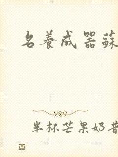 名养成器苏沫沫