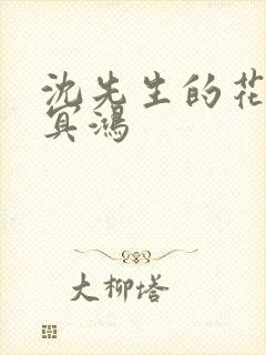 沈先生的花式调冥鸿