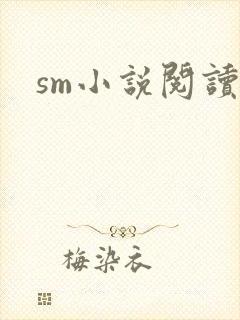 sm小说阅读