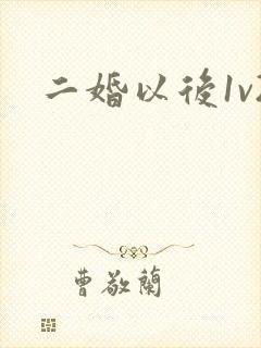 二婚以后1v2