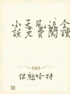 小天风流全集小说免费阅读