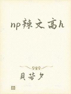 np辣文高h