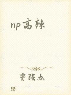 np高辣