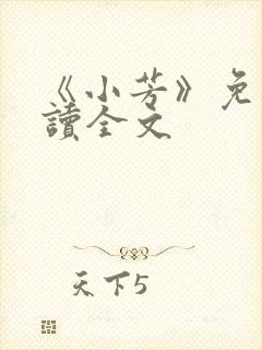 《小芳》免费阅读全文