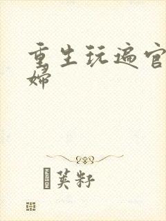 重生玩遍官场贵妇