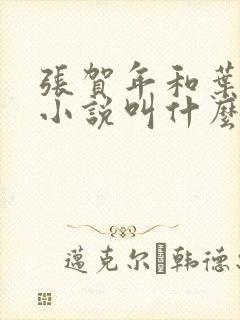 张贺年和叶繁姿小说叫什么名字