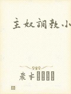 主奴调教小说