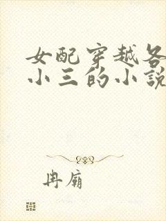 女配穿越各个做小三的小说