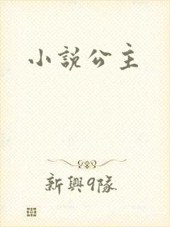 小说公主