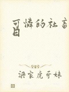 可怜的社畜东度日