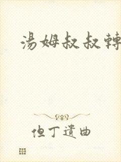 汤姆叔叔转接口