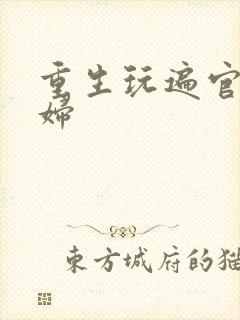 重生玩遍官场贵妇