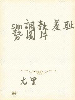 sm调教羞耻姿势图片