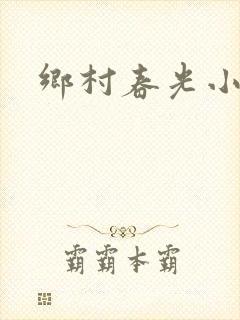乡村春光小说