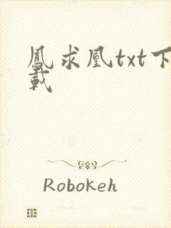 凤求凰txt下载