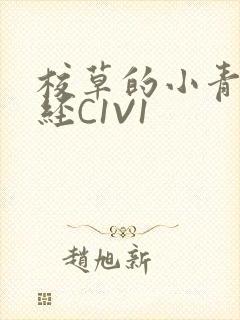 校草的小青梅不经C1V1