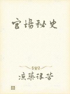 官场秘史