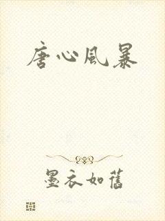 唐心风暴