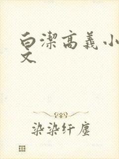 白洁高义小说全文