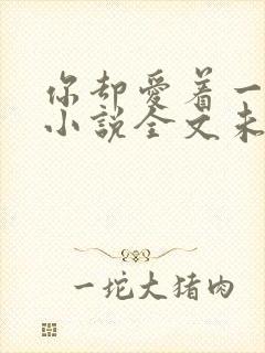 你却爱着一个他小说全文未删减免费