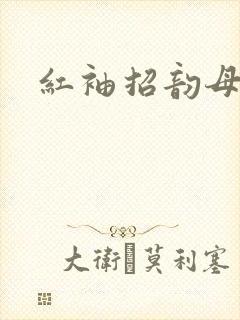 红袖招韵母攻略