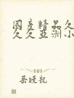 国产精品久久久久久亚洲小说