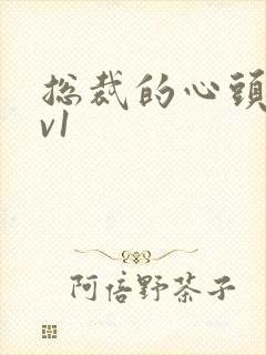 总裁的心头宝1v1