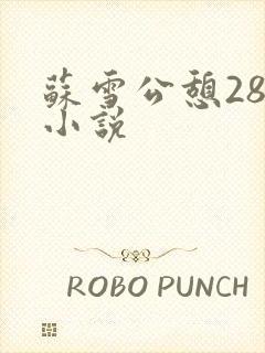 苏雪公憩28篇小说封面