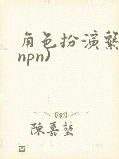 角色扮演系统(npn)