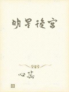 明星后宫