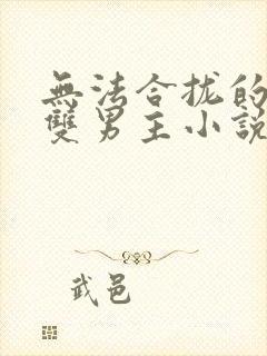 无法合拢的总裁双男主小说