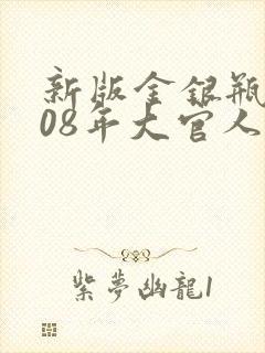 新版金银瓶2008年大官人