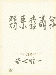 群臣共享公主银羽小说叫什么