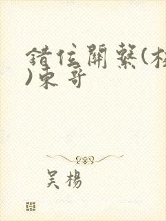 错位关系(校园)东哥