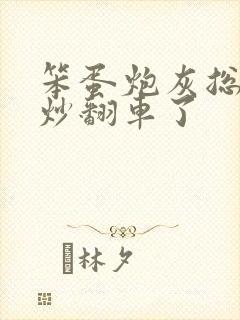 笨蛋炮灰总被爆炒翻车了