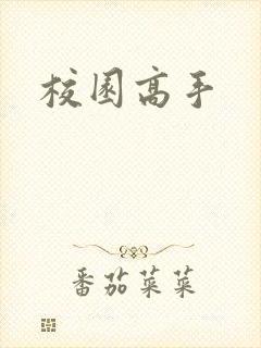 校园高手