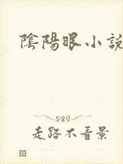 阴阳眼小说